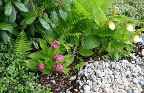 Ferienwohnung Himmlingen - Foto 8