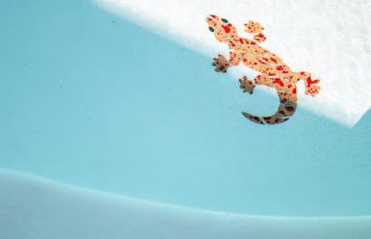 Karsten Maricopa - Photo 61