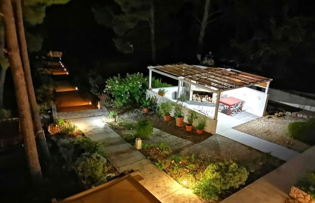 Dino - Gorgeous Garden - SA1 Zavala - Photo 35