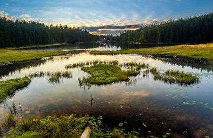 Ferienhaus Florian - Foto 2