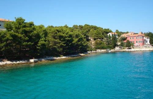 Apartmani Goga - Molat 6 - Photo 6