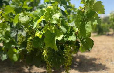 Aegean Endless Summer Villa Pefkos - Foto 33