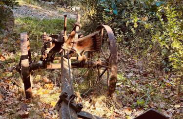 Antica Fiera - Foto 16