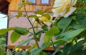 Ruralna kuća za odmor Brezanka, Zagrebačka ulica 21 Gornja Stubica - Foto 27