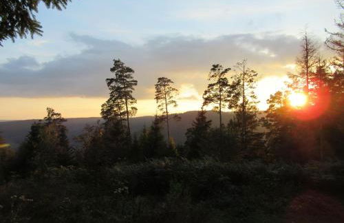 Ferienwohnung-Schoenmuenzblick-Urlaub-im-Nationalpark-Schwarzwald-Schwarzwald-Plus-inklusive - Photo 51