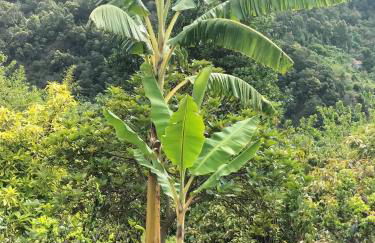 Sea Mountain House - Foto 68