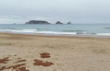 Estudio vistas al mar y a 5 minutos playa Estartit - Foto 27