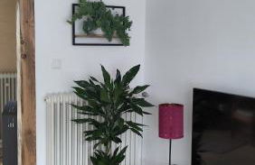 Ferienhaus Landblick - Foto 10