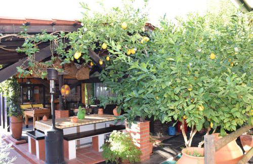 Quinta do Outeiro Alto - Foto 28