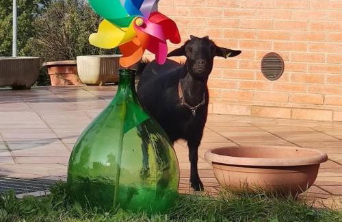 La Tavernetta - Foto 28