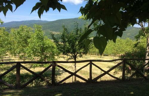 Rustic Comfort with Modern Touch - Foto 24