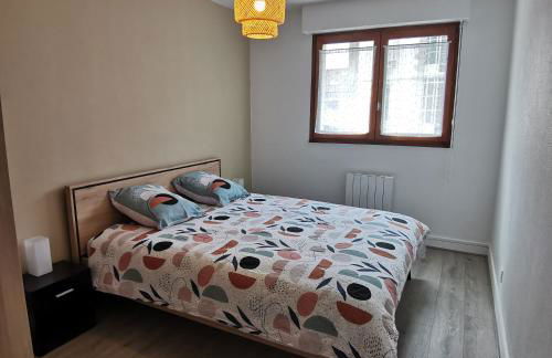 meublé du Plateau - Nancy centre Gare Tgv - Foto 10