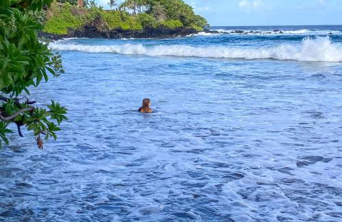 Cool & Quiet Wailea Oasis, Big Lanai + Two Pools - Foto 29