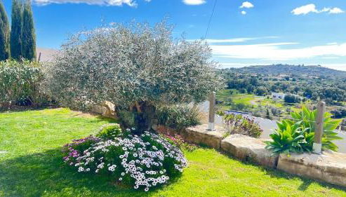 Tiny house - Photo 3