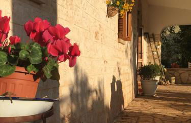 Il Trullo del Lazzeruolo - Foto 29