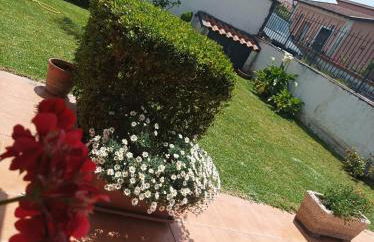 Sabbia Dorata - Foto 10