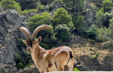 Casa Shanti - Foto 10