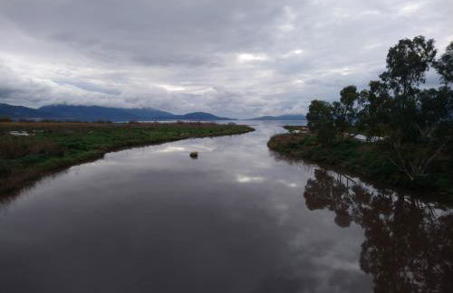 Sol's Place - Photo 27