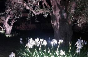 Βίλλα Φανούλα Villa Fanoula - Foto 9