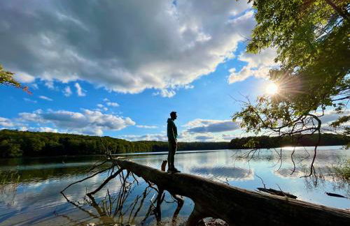 Haus 2 am Grimnitzsee - hochwertiges Design, mit eigenem Garten und nah am See - Foto 20