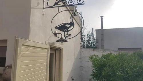 LA LIMONAIA - Foto 5