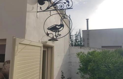 LA LIMONAIA - Foto 5