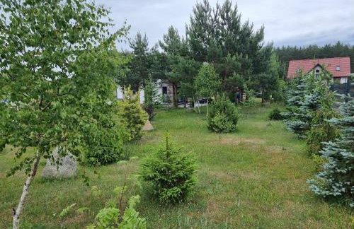 Domek de Janauis - Foto 67