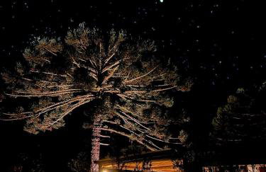 Reserva Cabanas - Foto 100