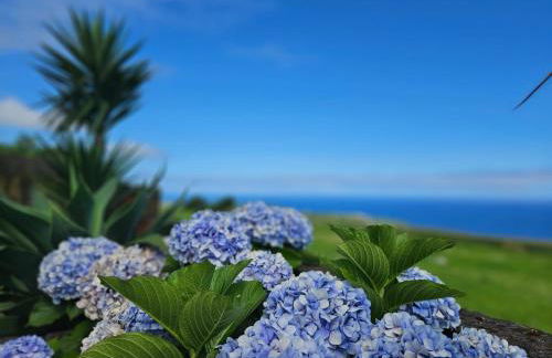 Ocean View - Nordeste - Photo 18