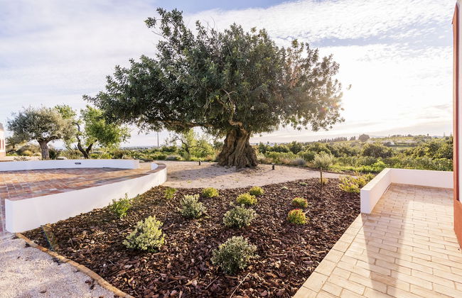 Quinta da Baleeira - Foto 80