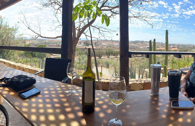 Private Deluxe Wine Tour to Valle de Guadalupe by Luxury Vehicle - Photo 50