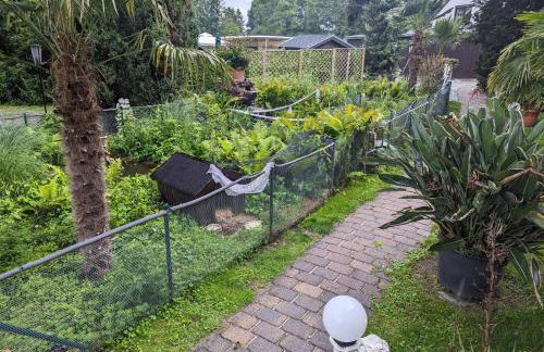 idyllische Lage direkt am See - Photo 20