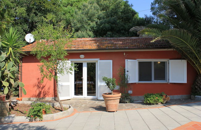 Buen Camino SSA - Foto 17