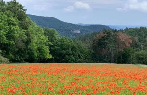 Bungalow Schwarzatalblick in Bad Blankenburg Ortsteil Böhlscheiben - Foto 59