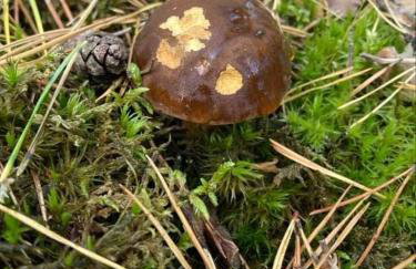 Chatka Baby Agi - Foto 48