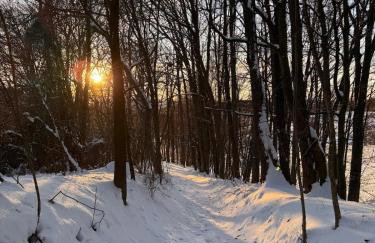 Holiday Home Medimurski Ceker - Foto 44