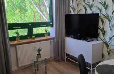 Palmowy Zakątek 2 pokoje dla rodziny Apartament Deluxe - Foto 9