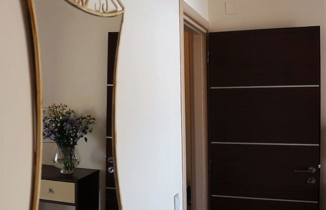 Helianthus - Foto 15