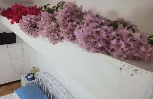 Mater Christi - Foto 49