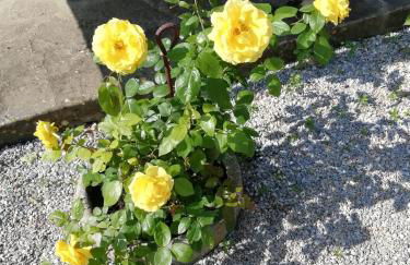 Villetta di Campagna - Foto 29