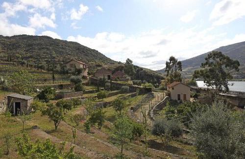 Quinta da Ferradosa Wines - Foto 39