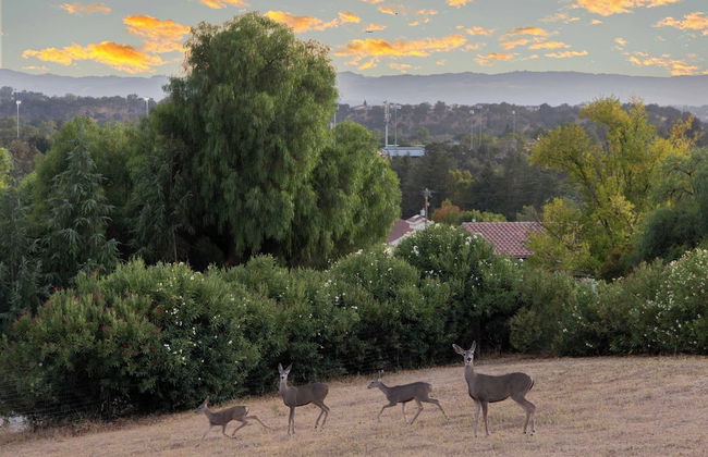 Paso Vista Bella by Avantstay Luxe Group Escape w/ Wine Country Views - Foto 11