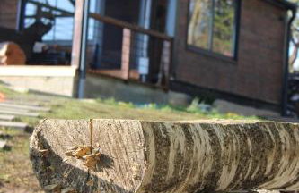 Villa Green Relax - Foto 26