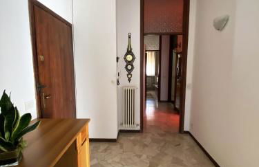 Flat Seriate - Photo 8