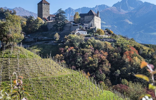 Vinea - Suites & Apartments - Photo 71