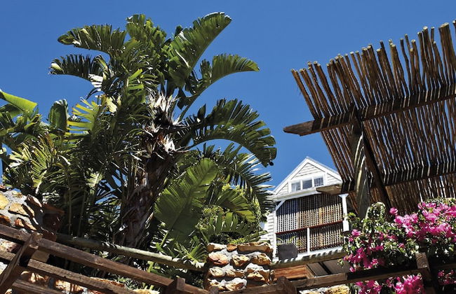 African Violet Guest Suites - Foto 74