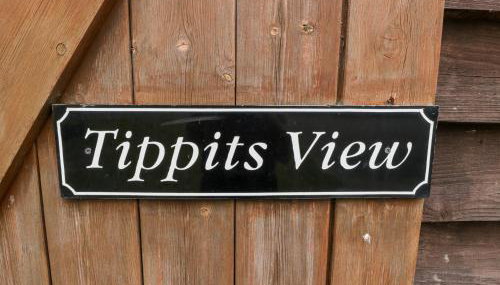 Tippets View - Photo 3
