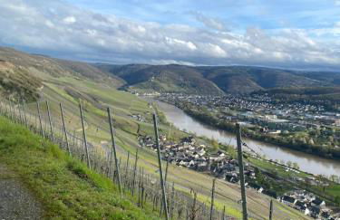 Apartment an der Mosel 2 - Foto 41