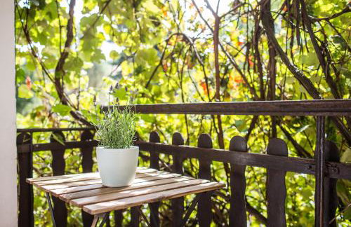 Apartament Pod Winogronami - Foto 21