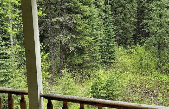 Rustic Beaverfoot Lodge Executive Cabin - Photo 17
